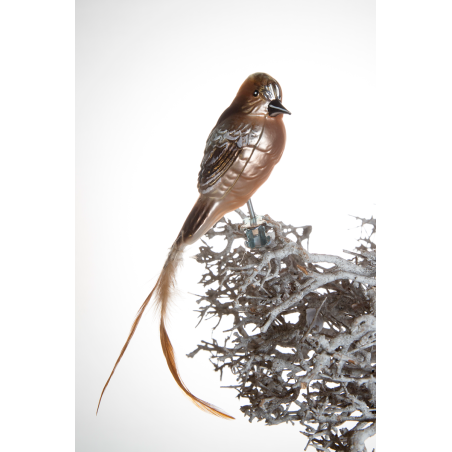 Christbaumschmuck-Glasornament Vogel Buchfink braun-grau auf Clip mit Feder