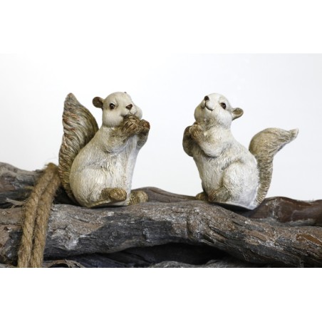 Eichhörnchen mit Eichel